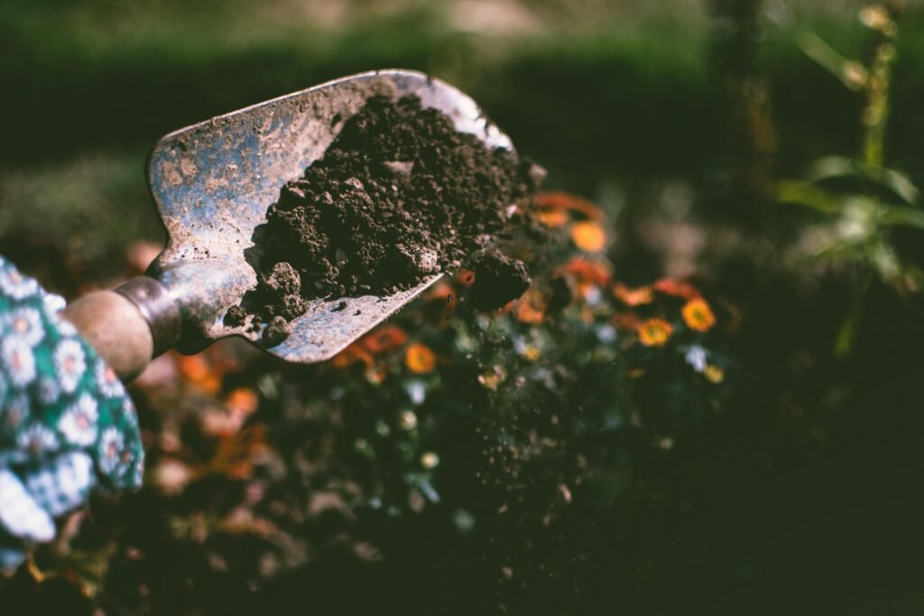 Transplantoir planté dans un sol fertile, illustrant un geste simple de jardinage débutant.