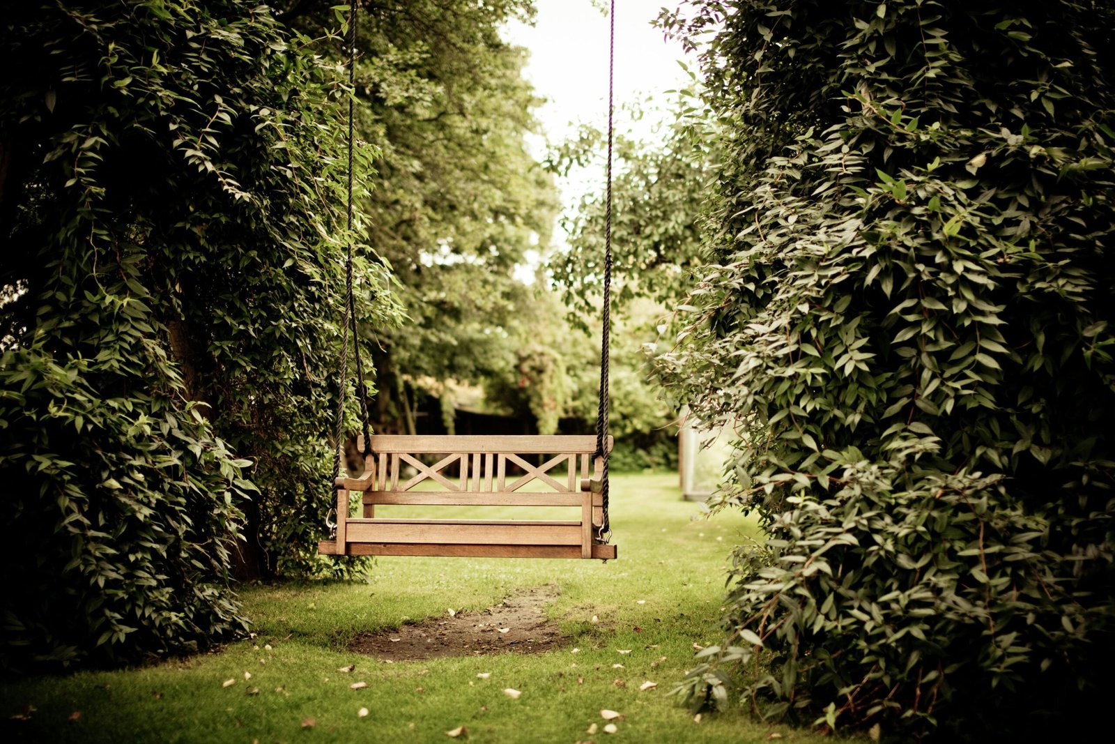 Banc en bois installé entre deux arbres dans une allée, invitant à la contemplation au jardin, symbole du jardinage débutant.